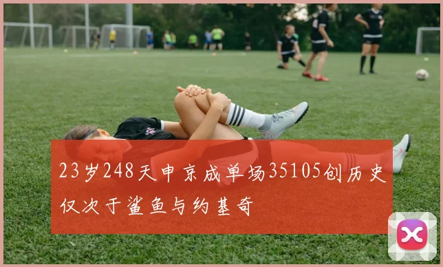 23岁248天申京成单场35105创历史仅次于鲨鱼与约基奇