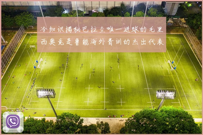 冷知识揭秘巴拉圭唯一进球的毛里西奥竟是鲁能海外青训的杰出代表